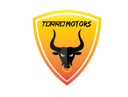 Torro Motors